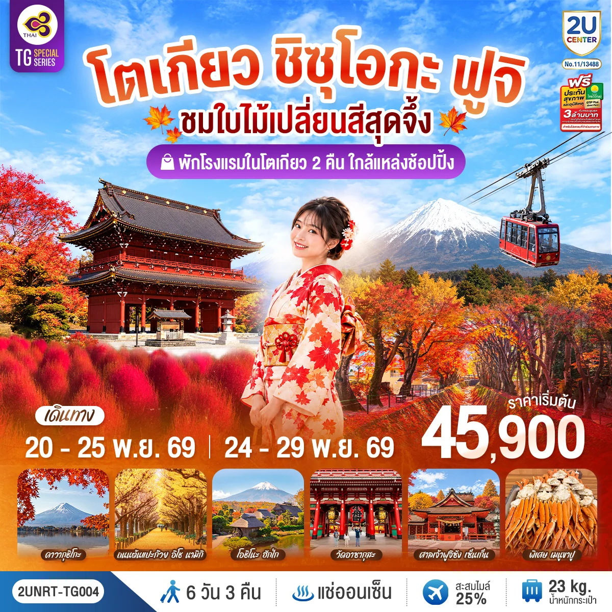 ทัวร์ญี่ปุ่น โตเกียว ชิซุโอกะ ฟูจิ นั่งกระเช้าคาจิคาจิ ชมใบไม้เปลี่ยนสีสุดจึ้ง 6วัน 3คืน (TG)